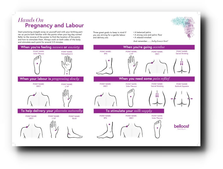 Belloost® Hands On Pregnancy and Labour Poster *Download* - Belloost®