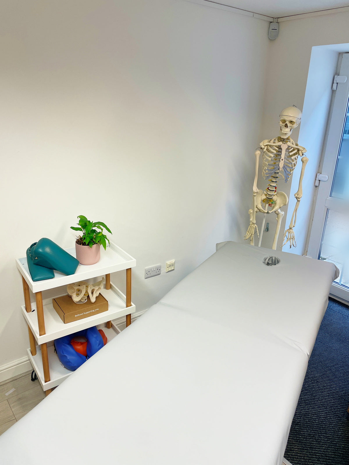 Lightweight Wipeable/Washable Couch Covers - Belloost®